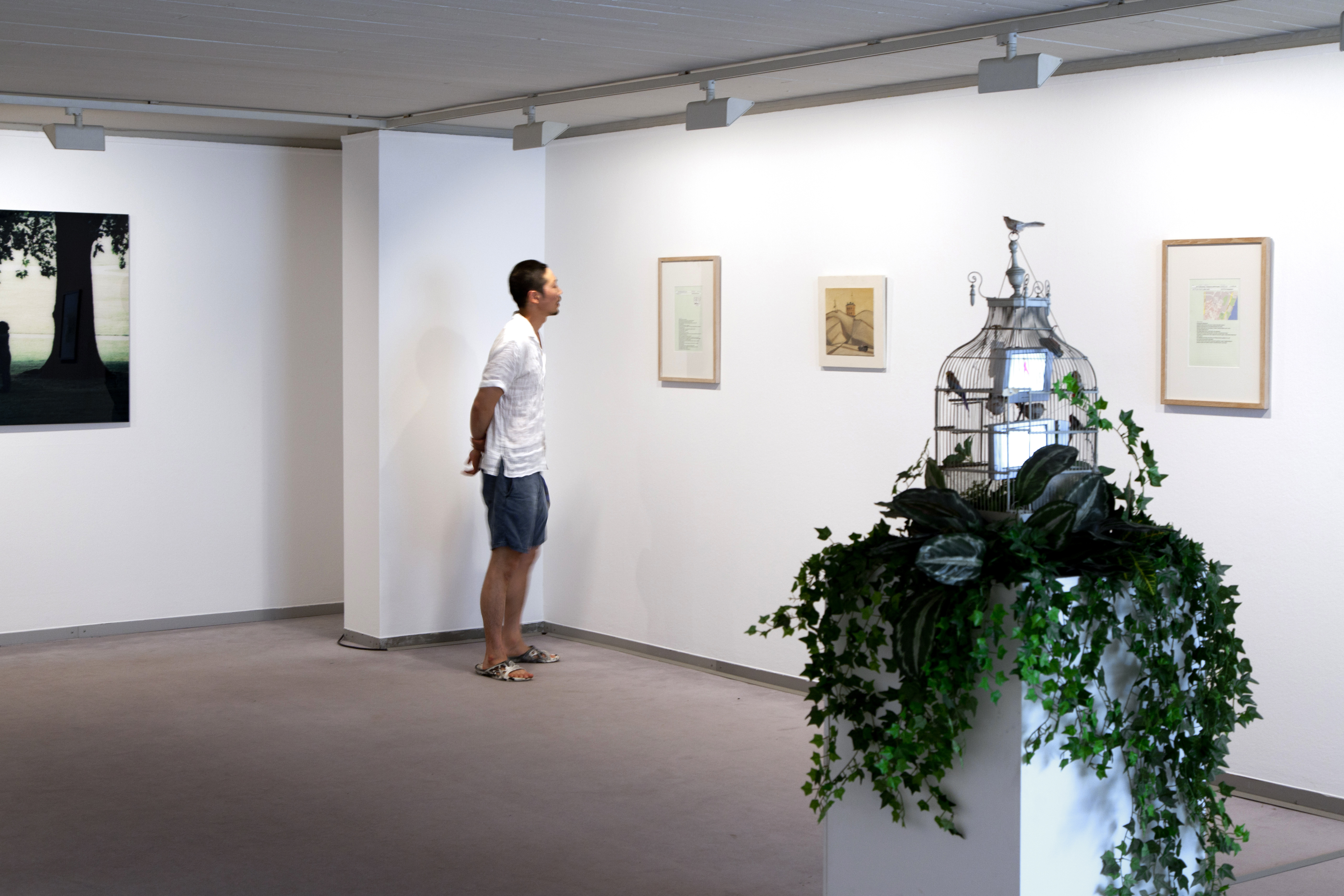 The endowed view in good company, Kunsthalle Kiel, 2012
